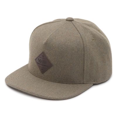 Grove MTE Snapback Hat | Shop At Vans