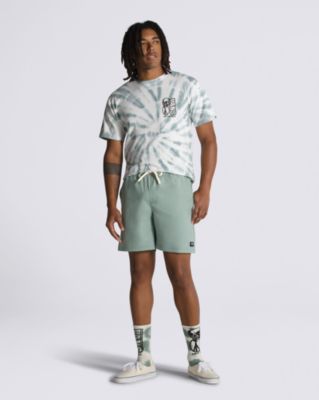 Vans Range Relaxed Sport 18 & Apos;' Shorts(chinois Green)
