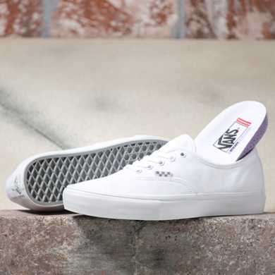 Skate Authentic Shoe