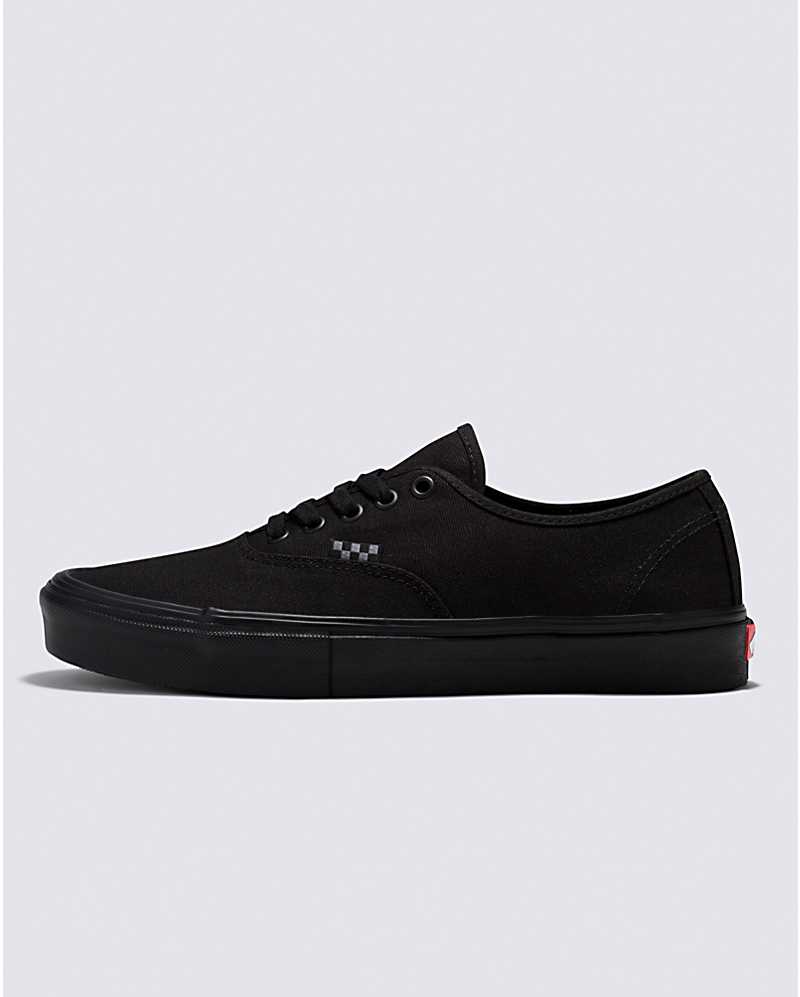 Vans Authentic Black/Black Skate Shoe