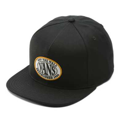 Established Snapback Hat