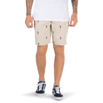 Authentic Monogram Short | Shop At Vans