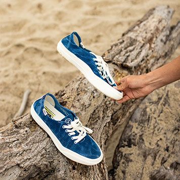 Vans on sale surf shoes