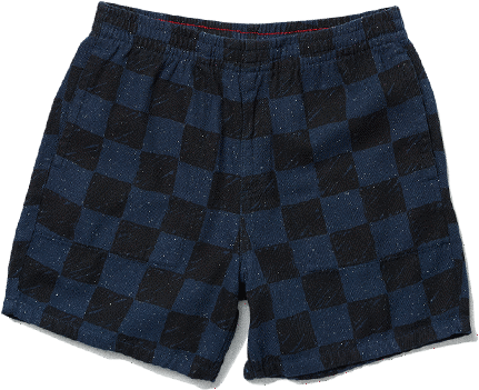Julian Vans blue and black checkered shorts
