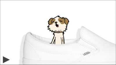 vans dog