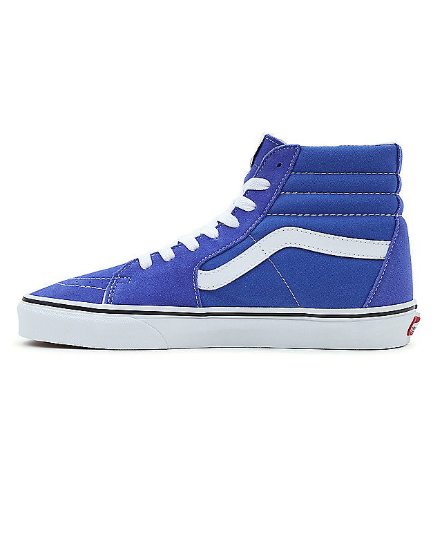 Color Theory Sk8-Hi Shoes 5