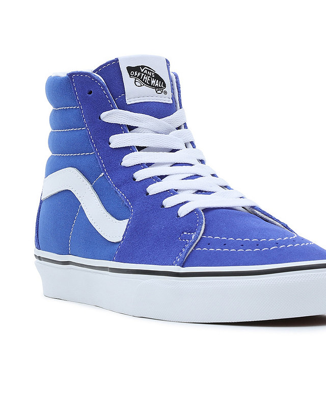 Chaussures Color Theory Sk8-Hi 8