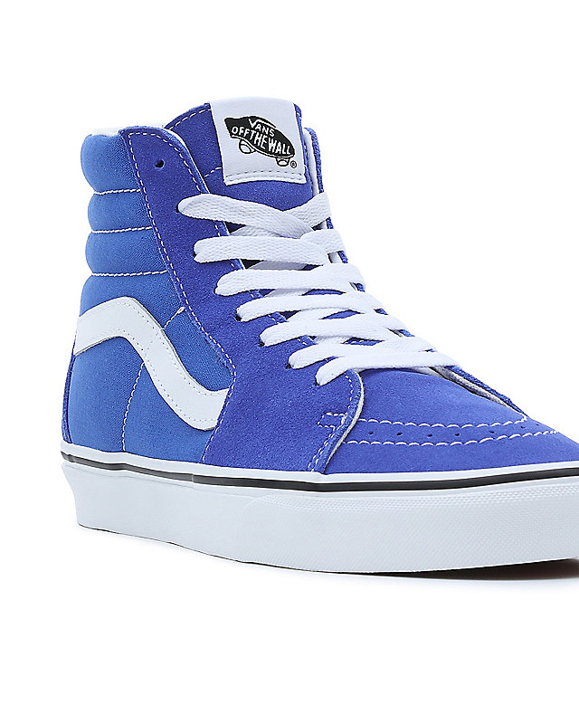 Color Theory Sk8-Hi Schuhe 8