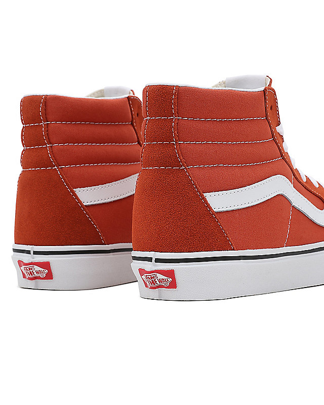 Color Theory Sk8-Hi Shoes 7