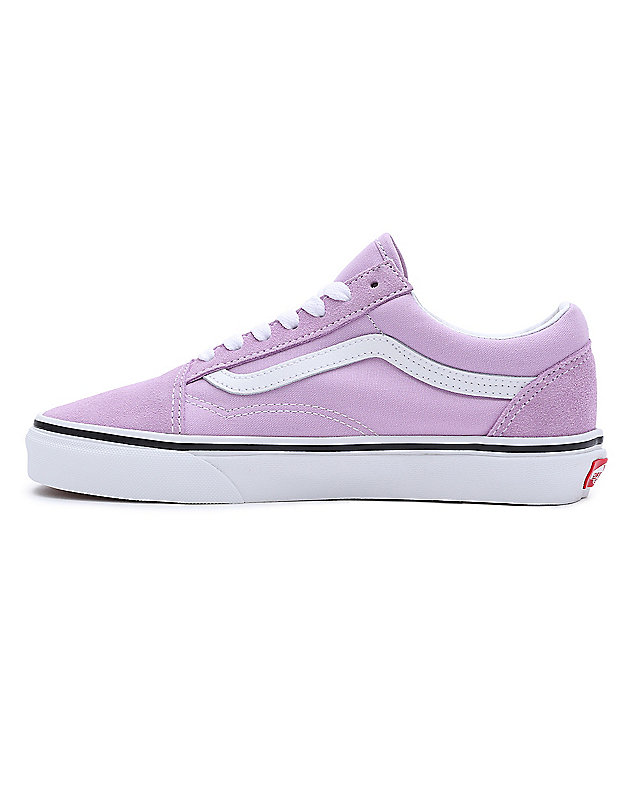 Chaussures Color Theory Old Skool 5