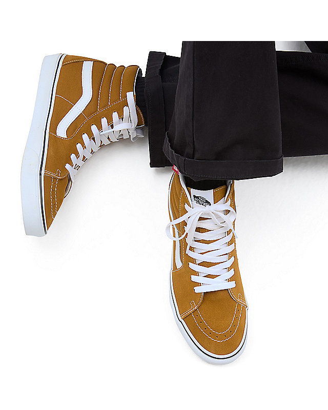 Chaussures Color Theory Sk8-Hi 3