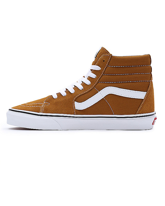 Chaussures Color Theory Sk8-Hi 5