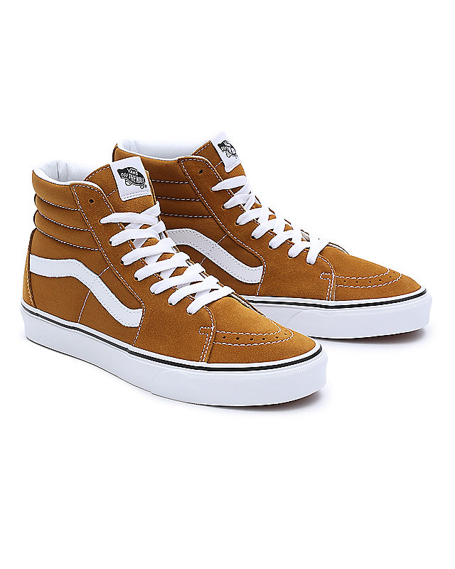 Color Theory Sk8-Hi Schuhe 1