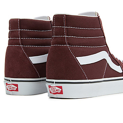 Chaussures Color Theory Sk8-Hi 7