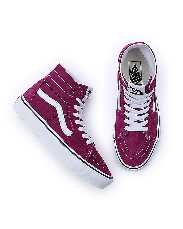 Scarpe Color Theory Sk8-Hi Tapered 2