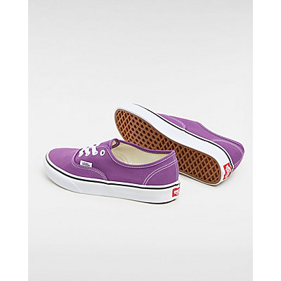 Chaussures Authentic Color Theory 3