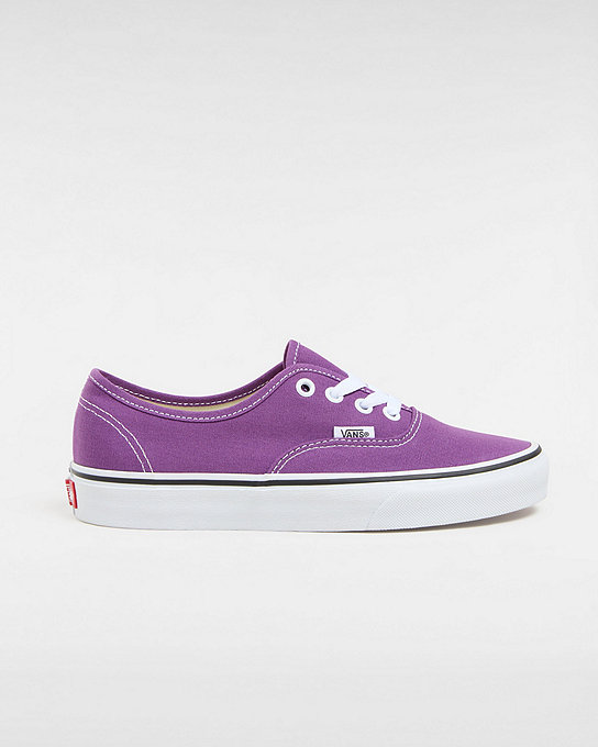 Authentic Color Theory Schuhe | Vans