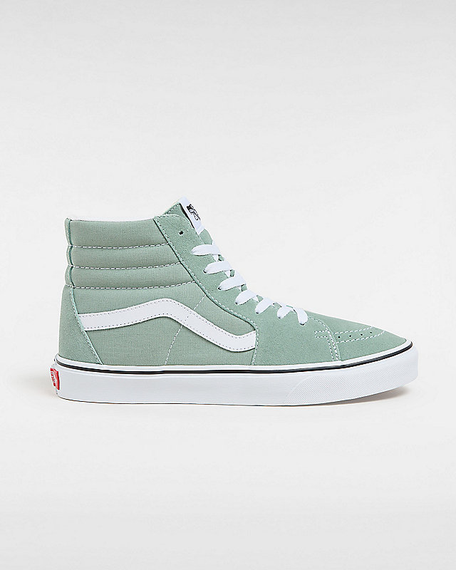 Color Theory Sk8-Hi Schuhe 1