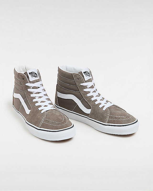 Chaussures Color Theory Sk8-Hi 2
