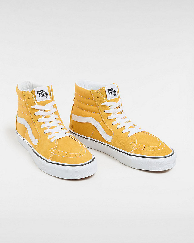 Color Theory Sk8-Hi Schuhe 2