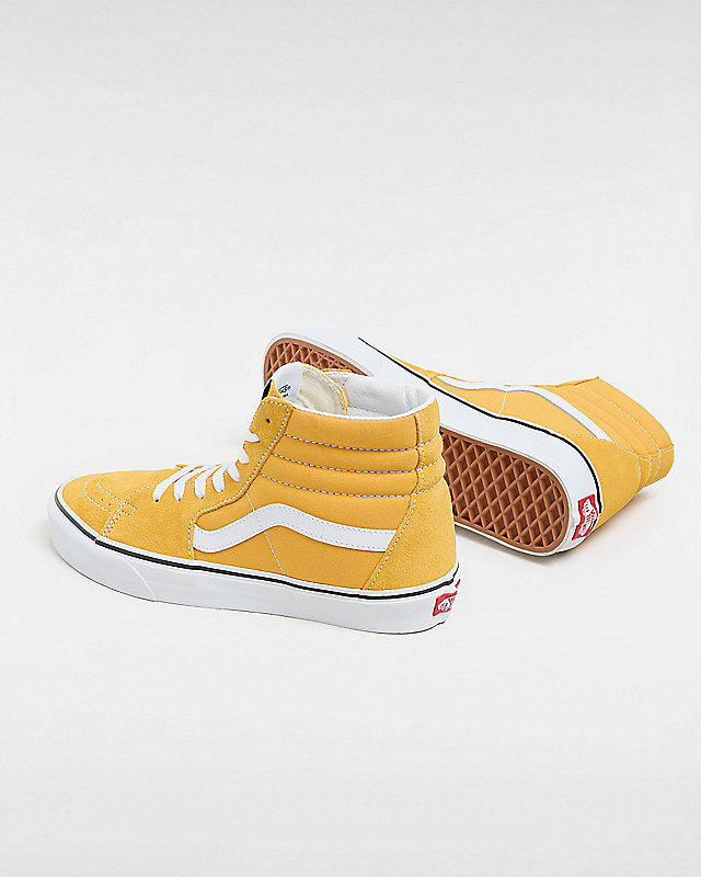 Color Theory Sk8-Hi Shoes 3