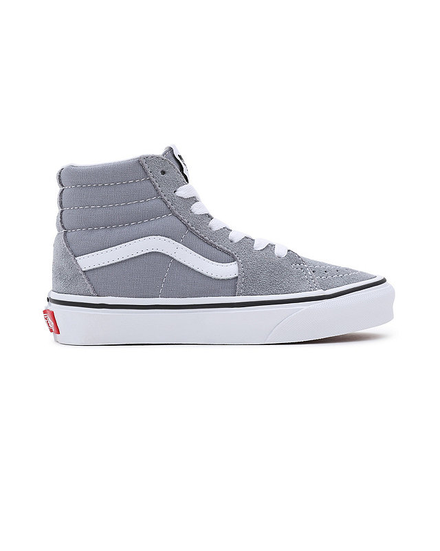 Kids Color Theory SK8-Hi Shoes (4-8 years) 3