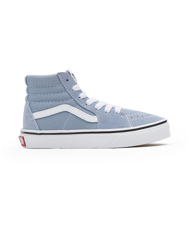 Kids Color Theory Sk8-Hi Shoes (4-8 years)