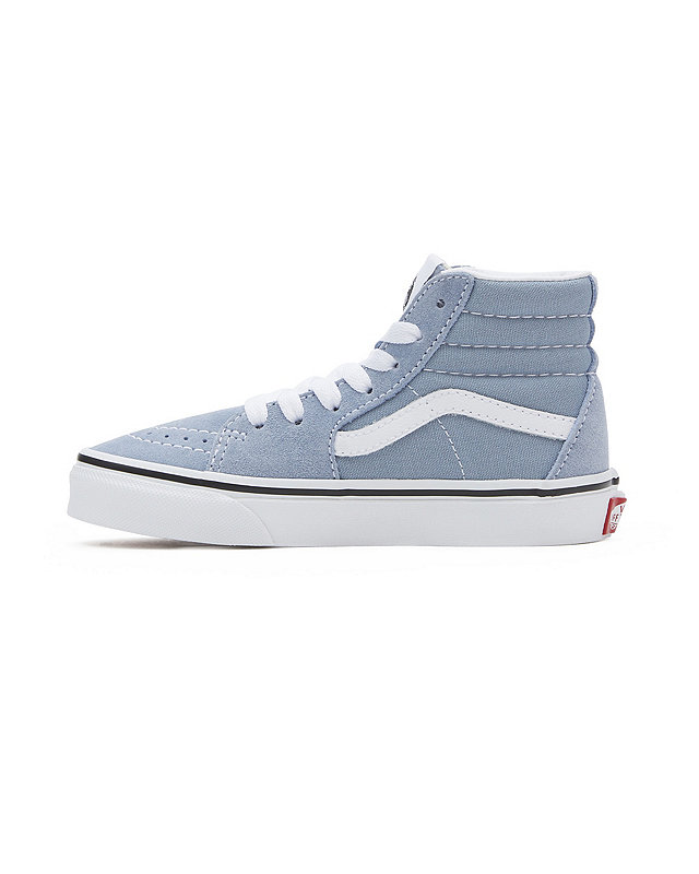 Kids Color Theory Sk8-Hi Shoes (4-8 years)