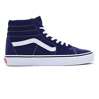 Chaussures Color Theory Sk8-Hi