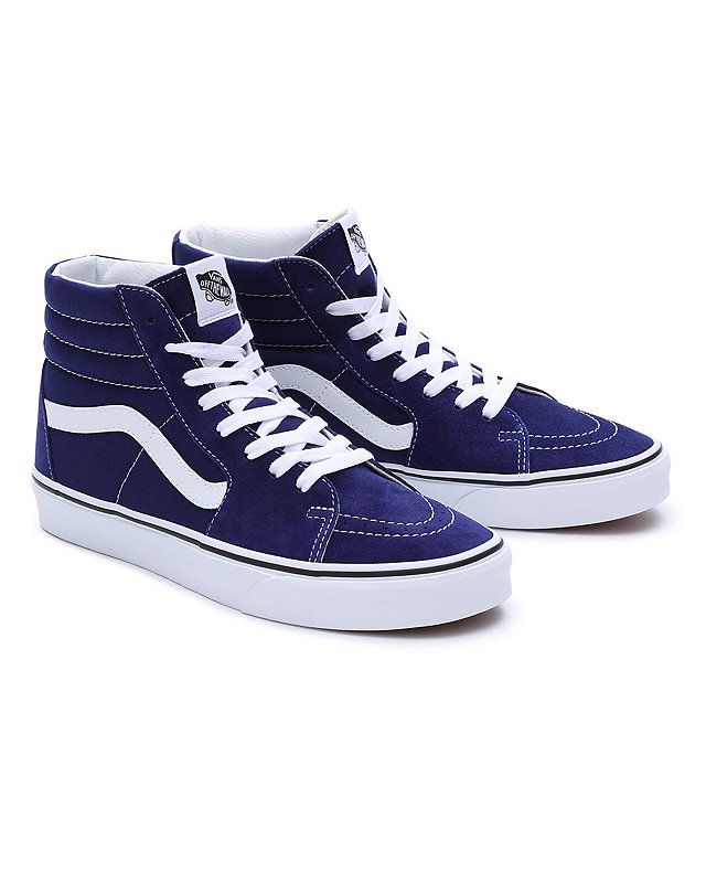 Chaussures Color Theory Sk8-Hi 1