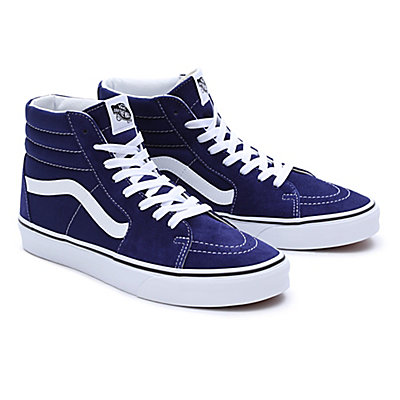 Chaussures Color Theory Sk8-Hi