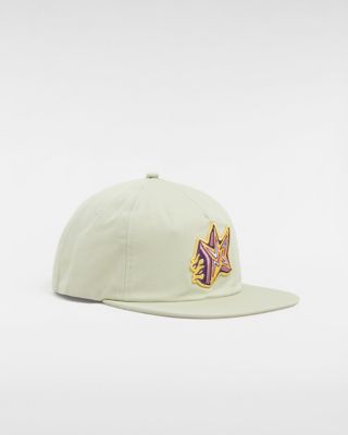 Skate Star Low Snapback Pet | Vans