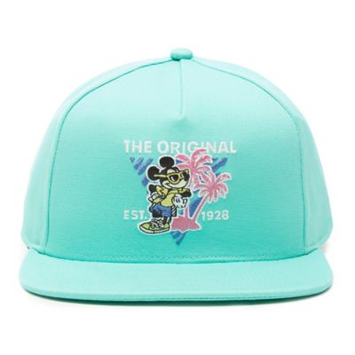 casquette disney vans