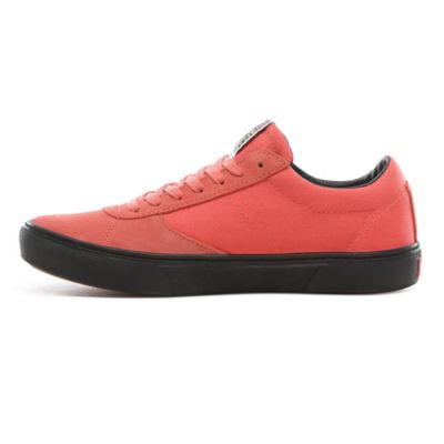 Vans store paradoxxx rose