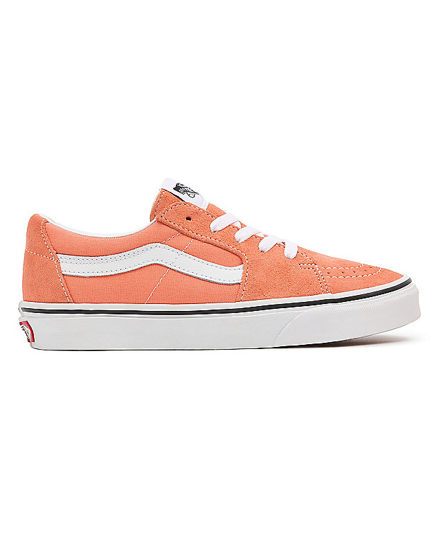 Chaussures SK8-Low 4