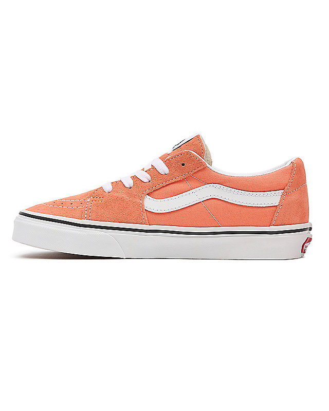 Chaussures SK8-Low 5