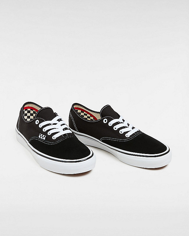 Skate Authentic Shoes 2