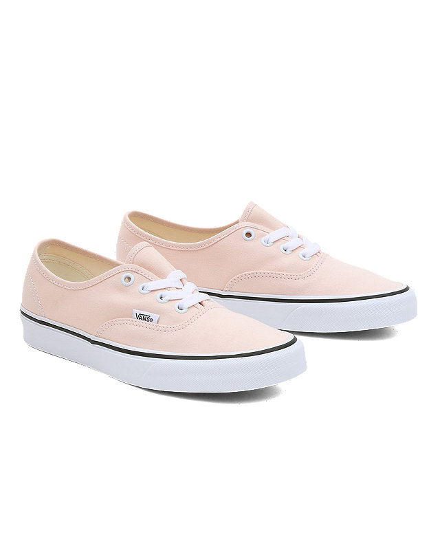 Chaussures Color Theory Authentic 1