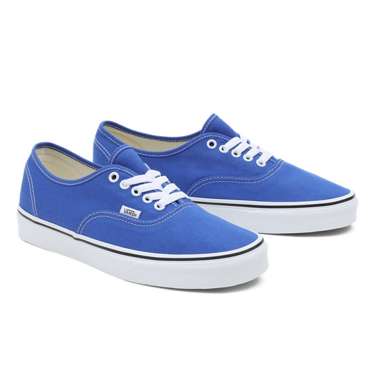 Chaussures Color Theory Authentic | Vans