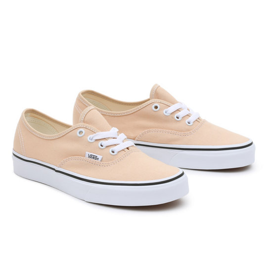 Color Theory Authentic Schuhe | Vans