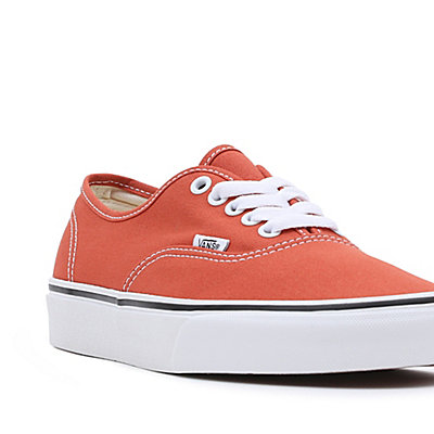 Chaussures Color Theory Authentic 8