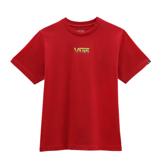 Boys Tailslide T-shirt (8-14 years) | Vans